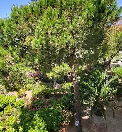 La Caravelle Entre Et Centre * Le Grau-du-Roi